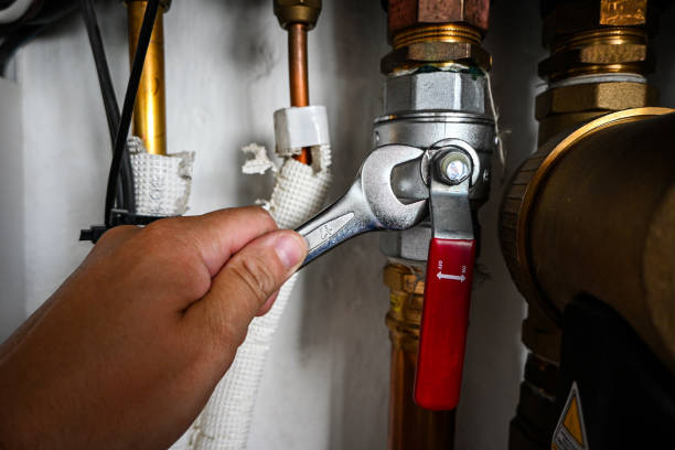Best Shower Repair Services  in Schererville, IN